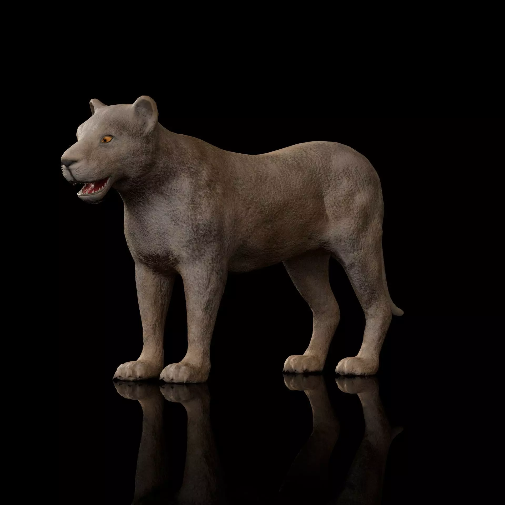 animal lion Low-poly 3D model_0