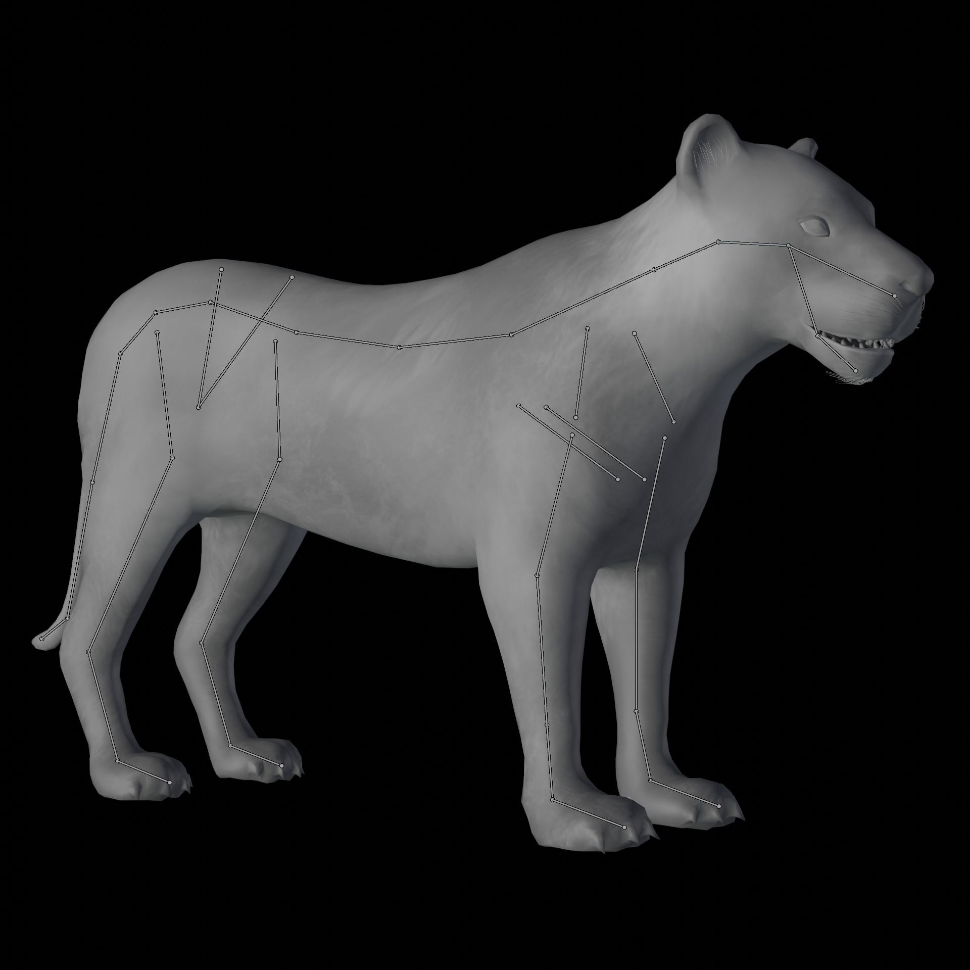 animal lion Low-poly 3D model_11