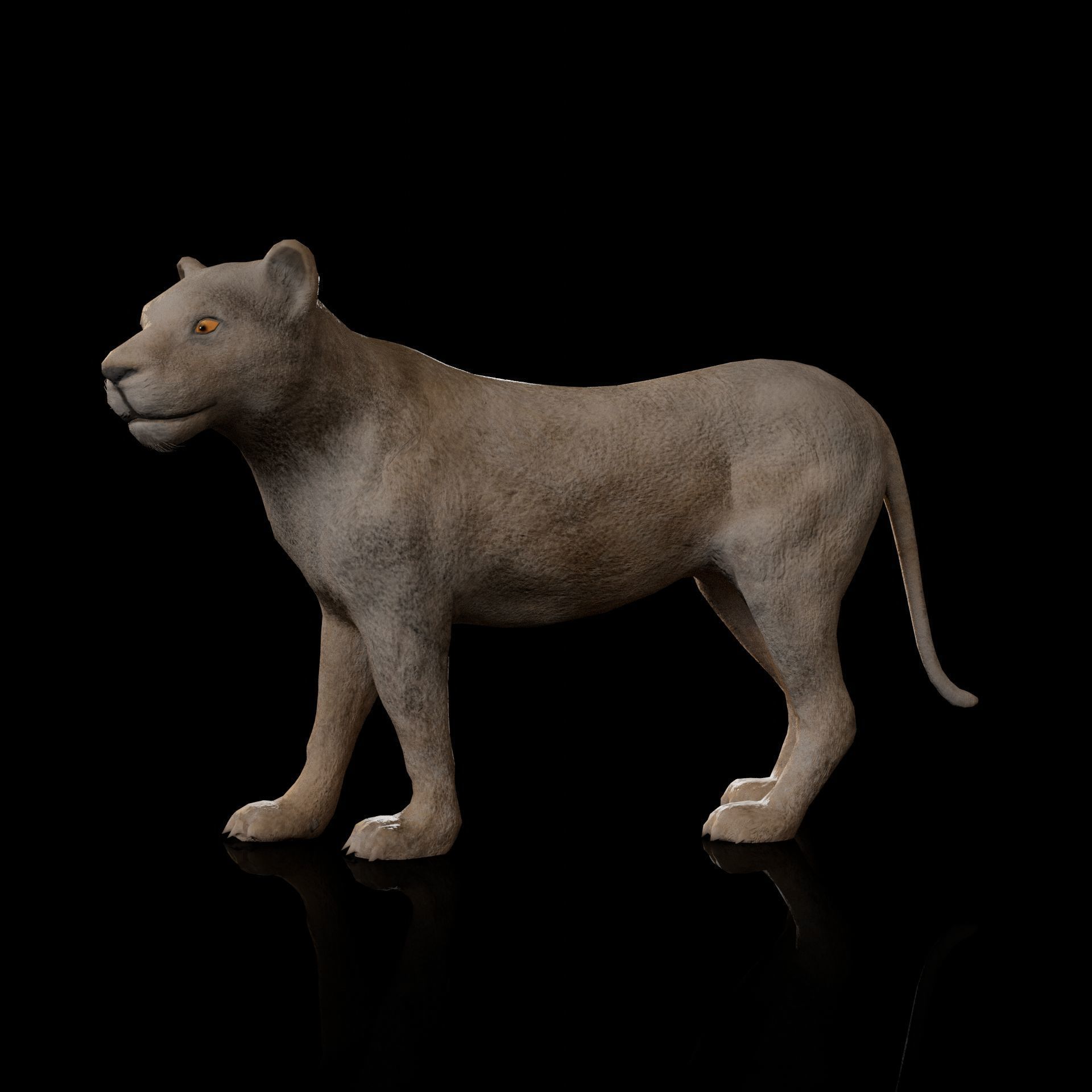 animal lion Low-poly 3D model_1