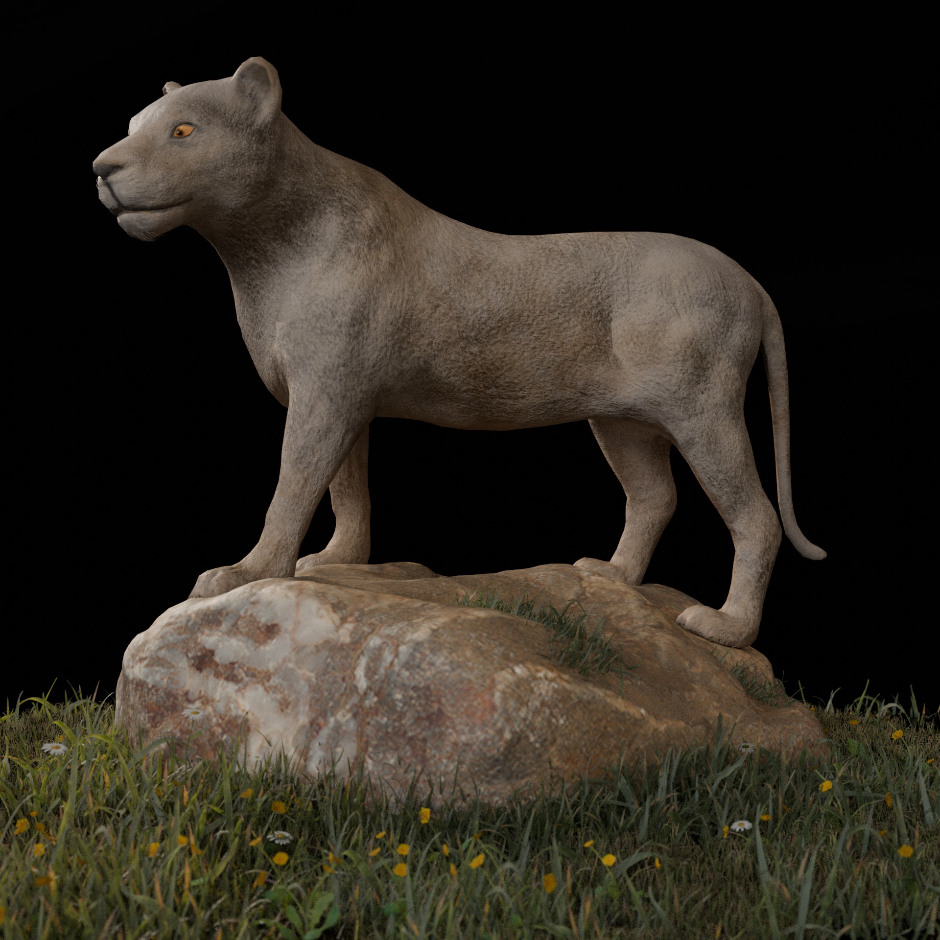 animal lion Low-poly 3D model_2