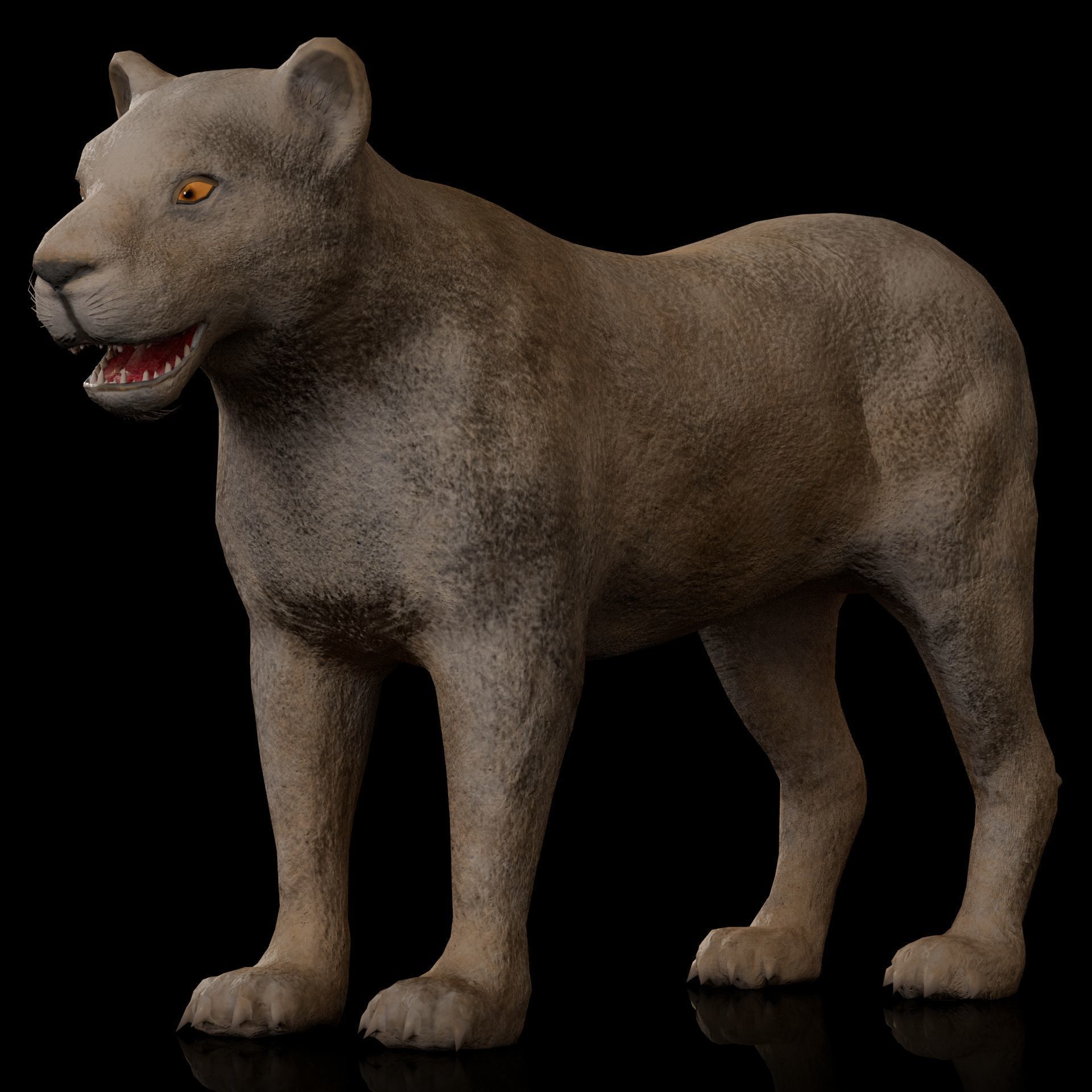 animal lion Low-poly 3D model_7