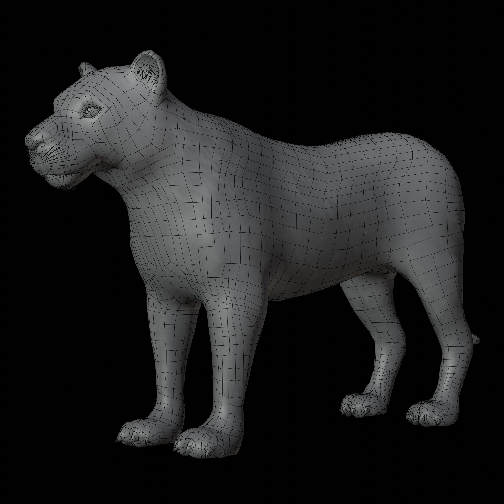 animal lion Low-poly 3D model_10