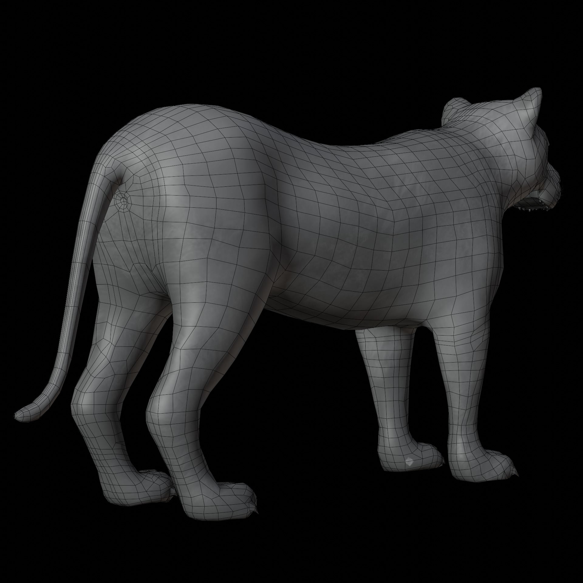 animal lion Low-poly 3D model_9