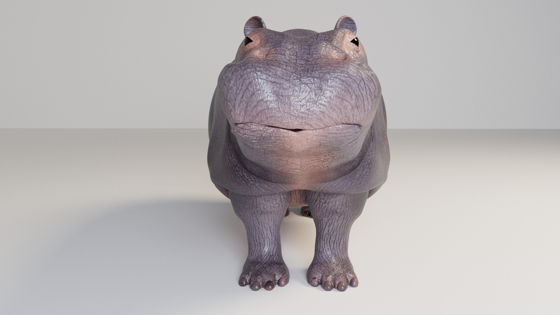 Hippopotamus 3D model_4