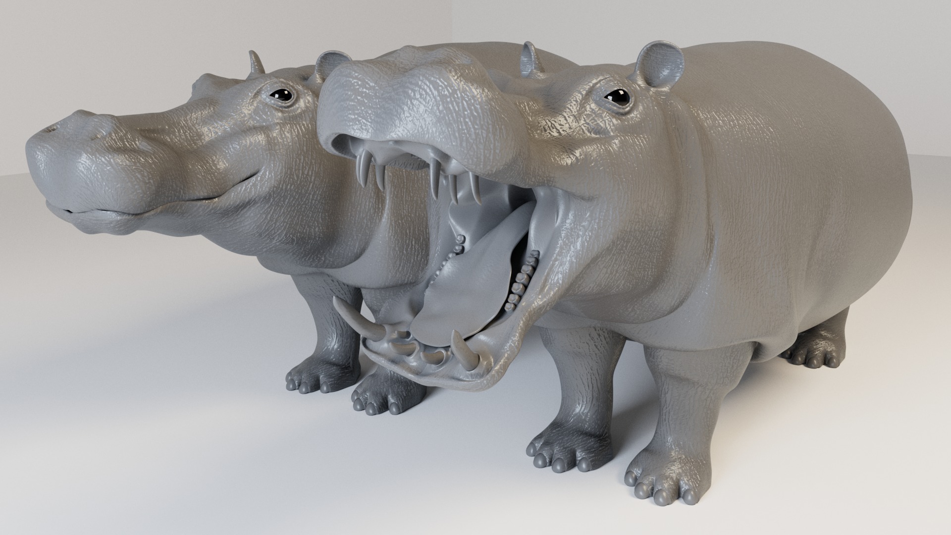 Hippopotamus 3D model_5