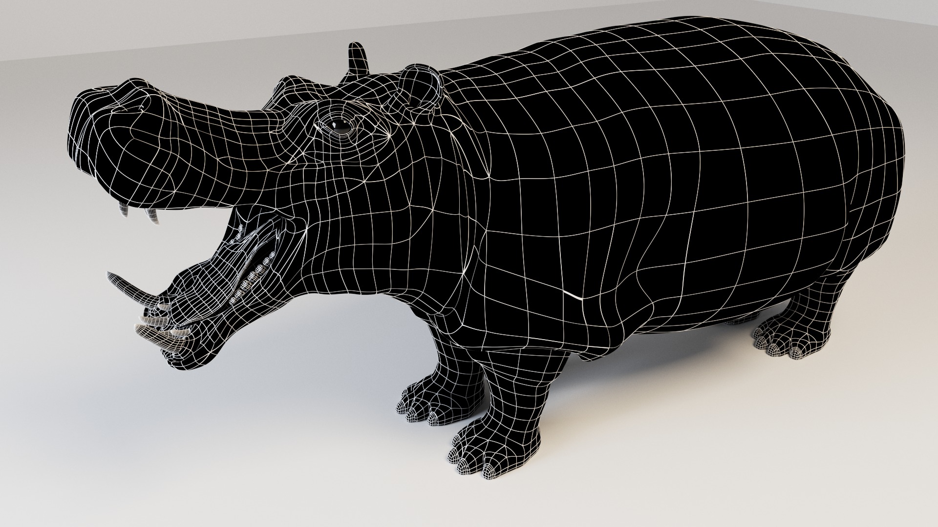 Hippopotamus 3D model_6