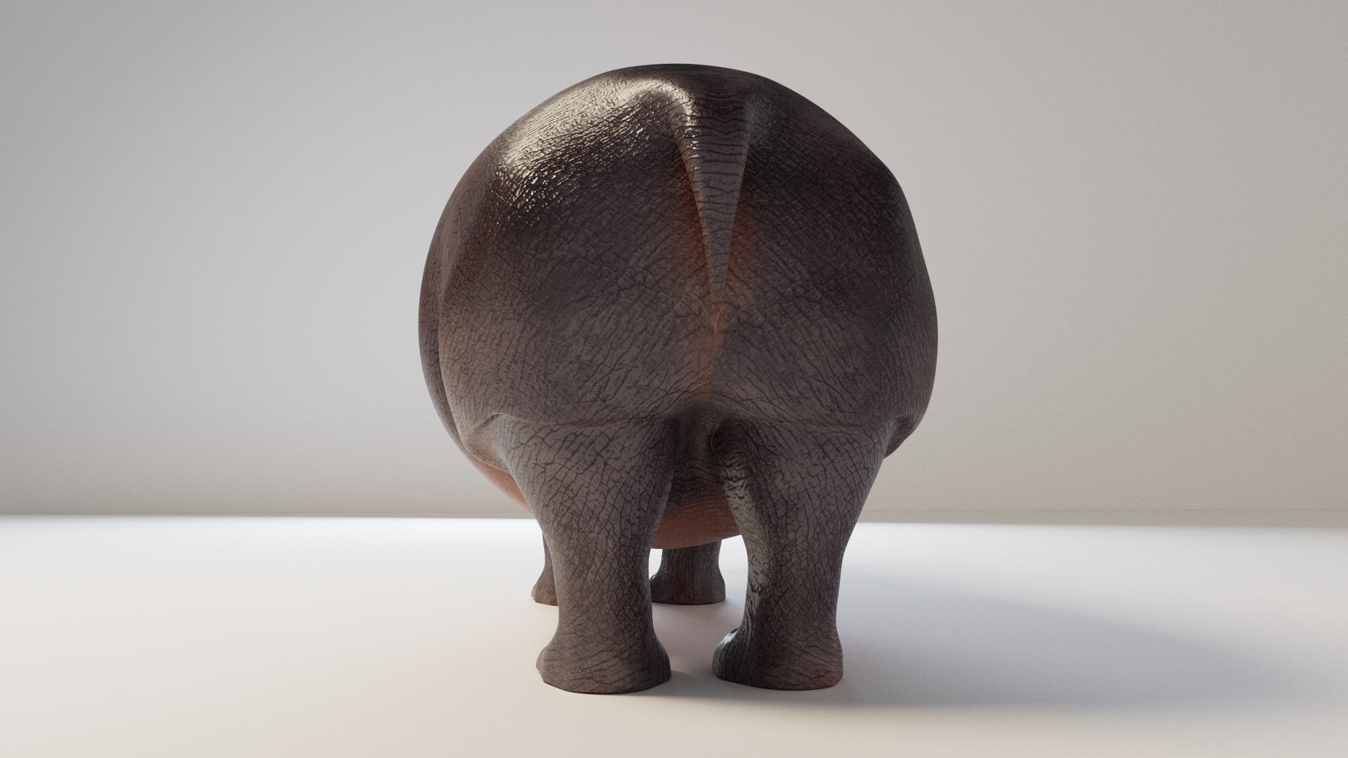 Hippopotamus 3D model_14