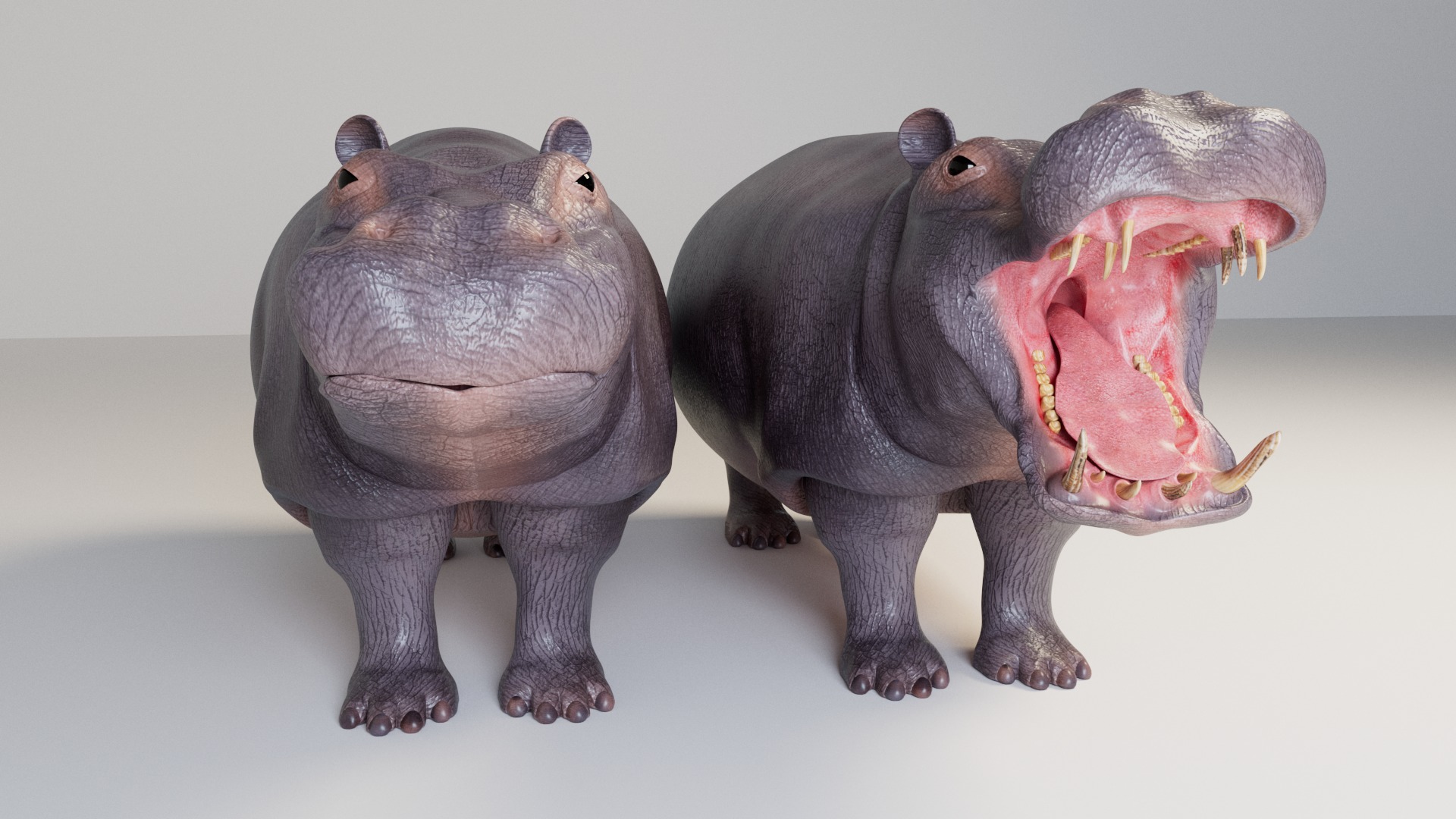 Hippopotamus 3D model_7