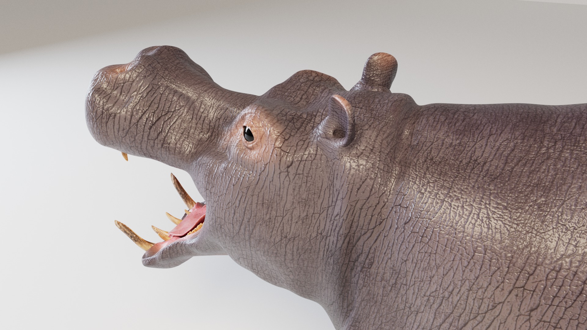Hippopotamus 3D model_2