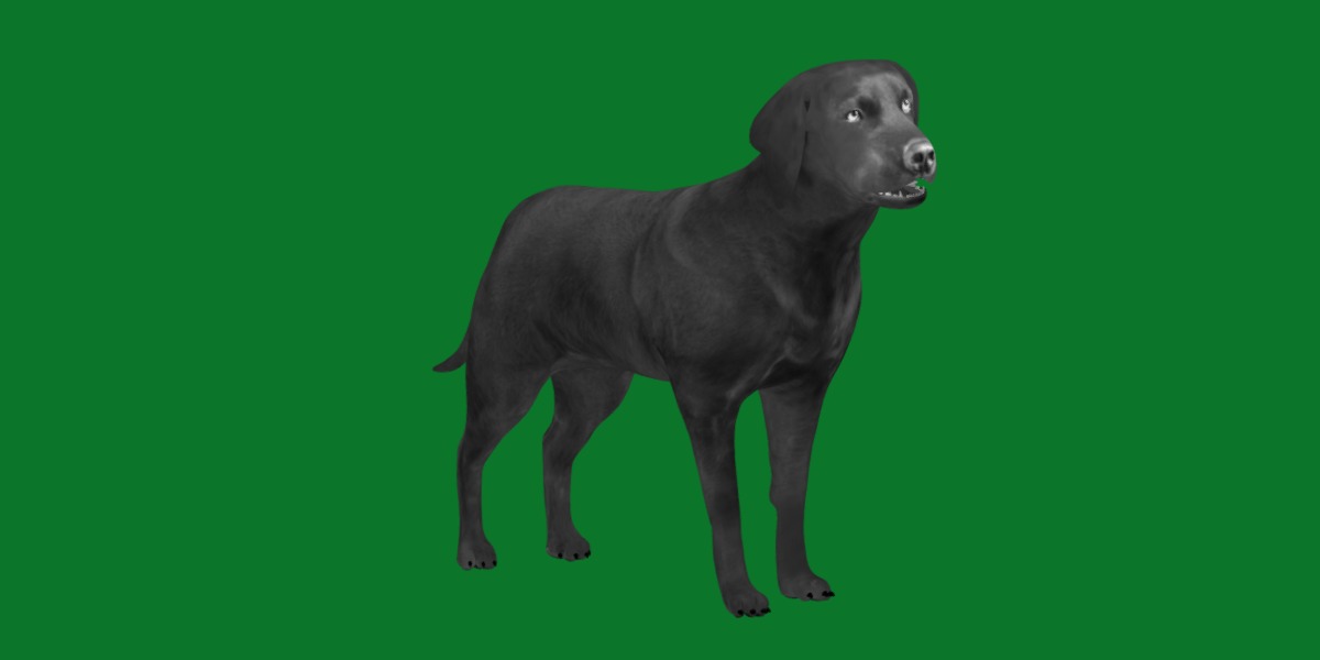 Chocolate Labrador Retriever Dog Low-poly 3D model_7