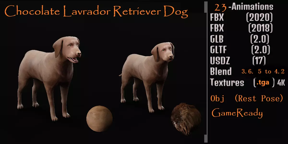 Chocolate Labrador Retriever Dog Low-poly 3D model_0