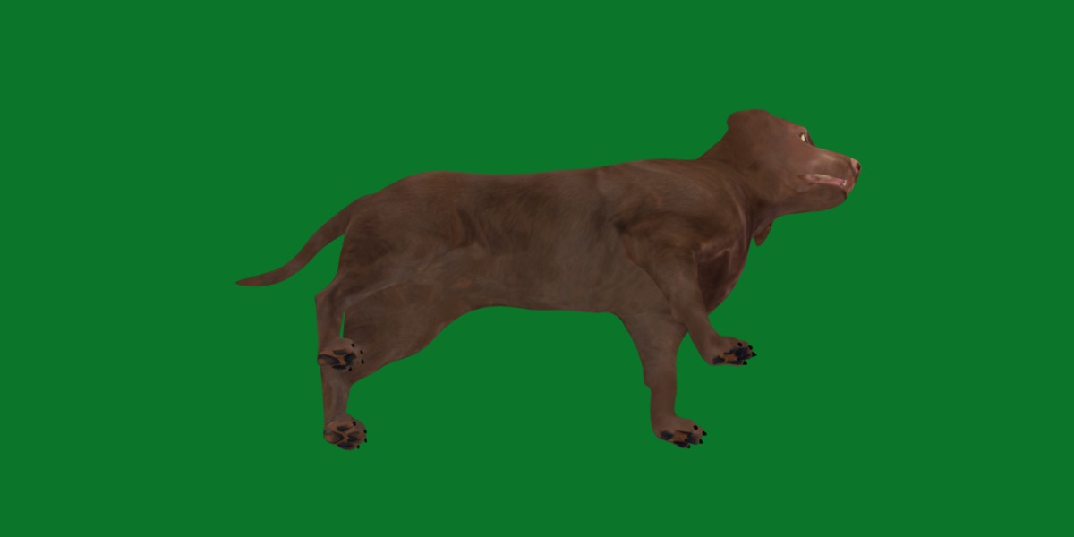 Chocolate Labrador Retriever Dog Low-poly 3D model_21