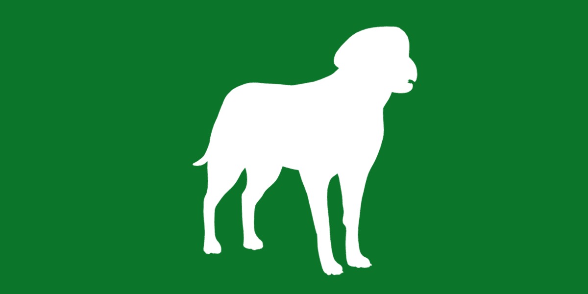 Chocolate Labrador Retriever Dog Low-poly 3D model_25