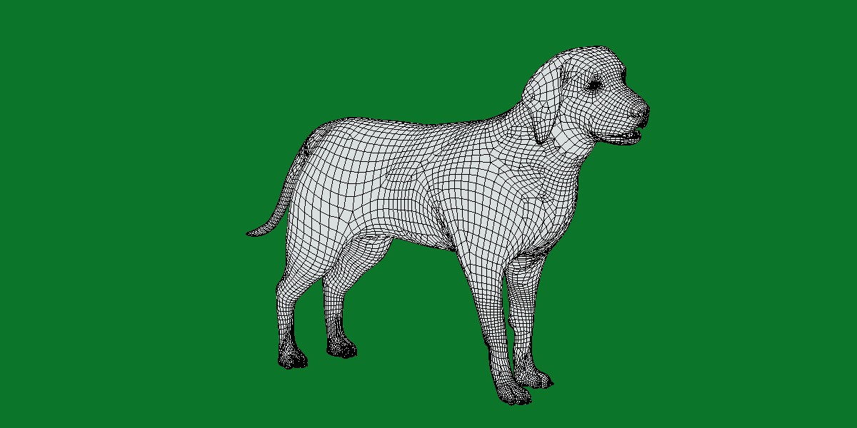 Chocolate Labrador Retriever Dog Low-poly 3D model_11