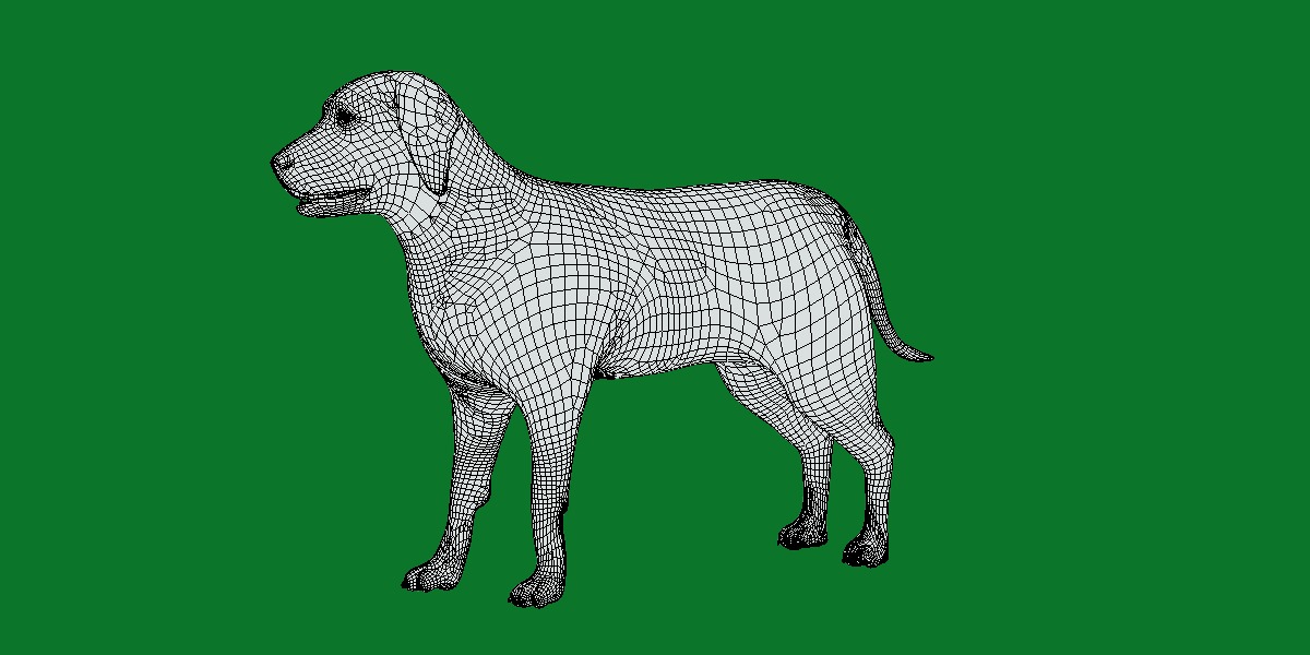 Chocolate Labrador Retriever Dog Low-poly 3D model_10