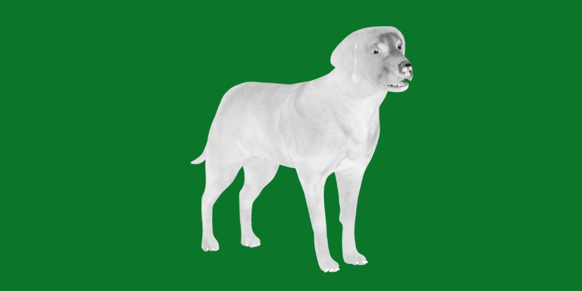 Chocolate Labrador Retriever Dog Low-poly 3D model_5