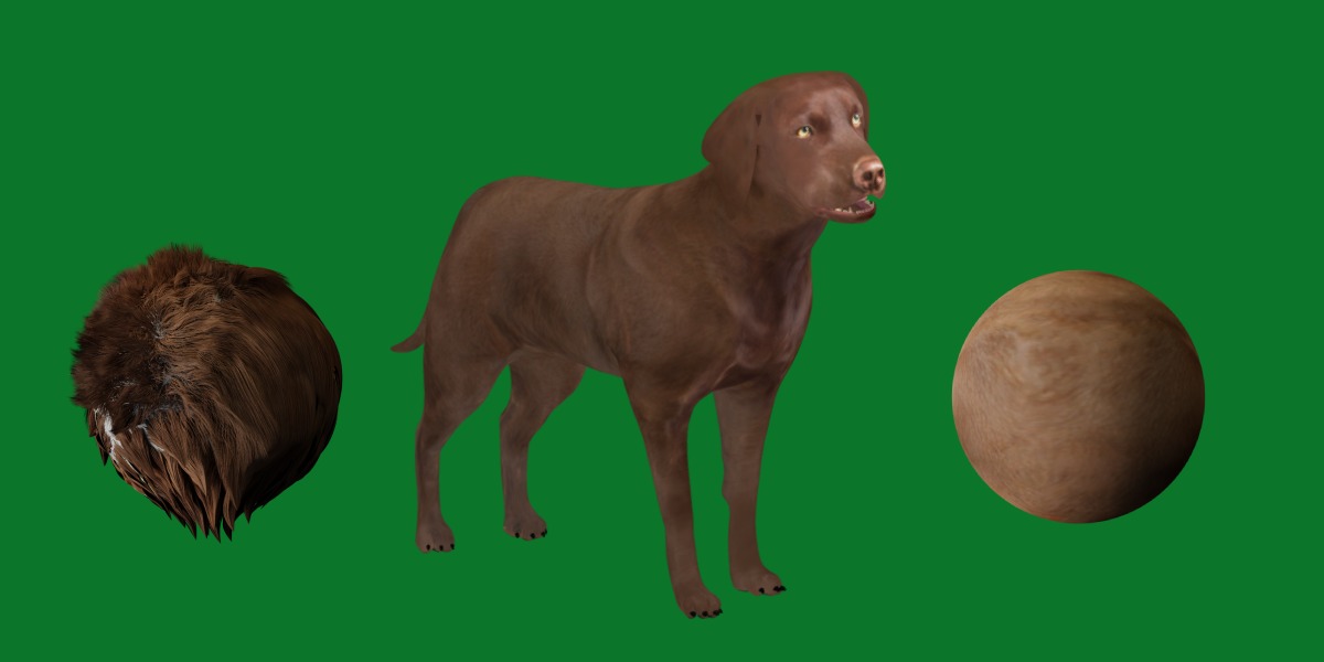 Chocolate Labrador Retriever Dog Low-poly 3D model_20