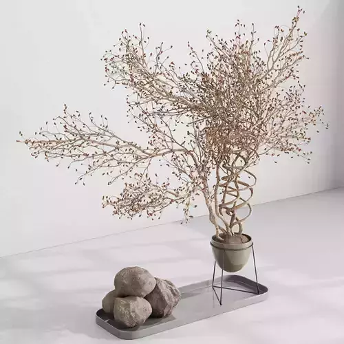 dry branch in a stand vase - Bouquet 60