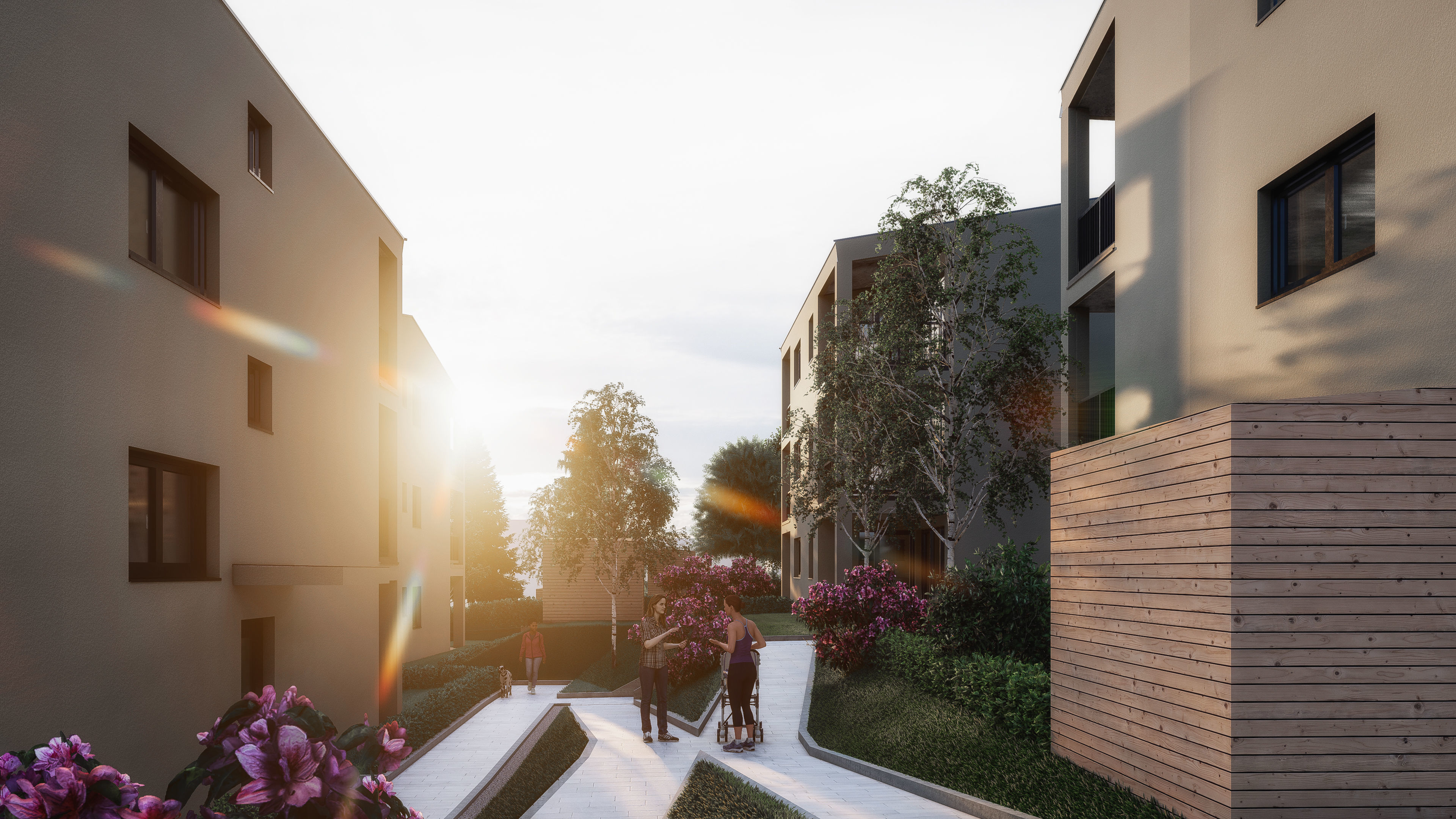 Several residential buildings in the Tyrolean Alps 3D model_4