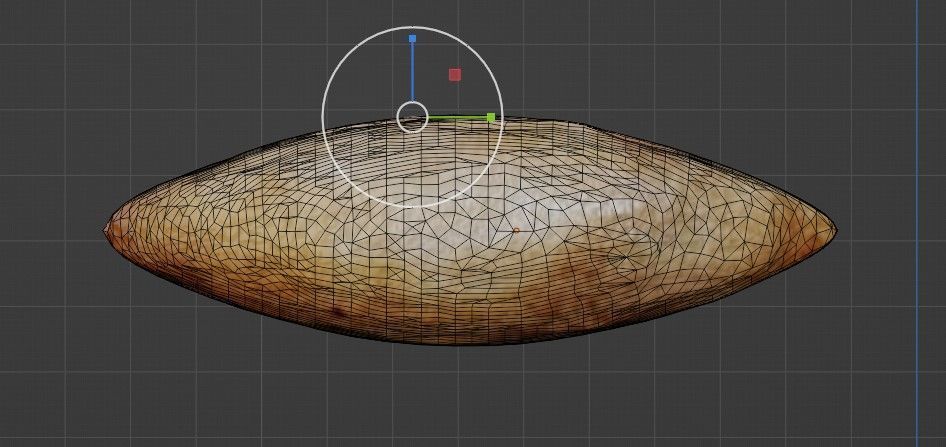 3D Sri Lankan Almond Model - Blender 3D model_1