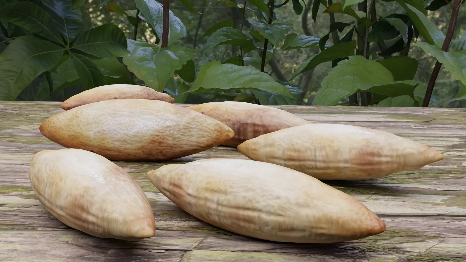 3D Sri Lankan Almond Model - Blender 3D model_0