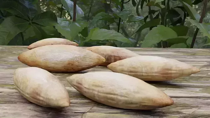 3D Sri Lankan Almond Model - Blender 3D model