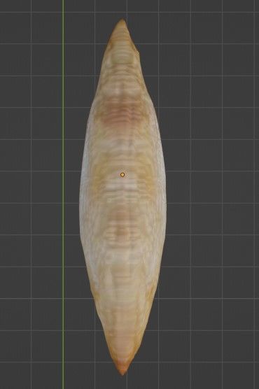 3D Sri Lankan Almond Model - Blender 3D model_6
