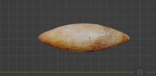 3D Sri Lankan Almond Model - Blender 3D model_5