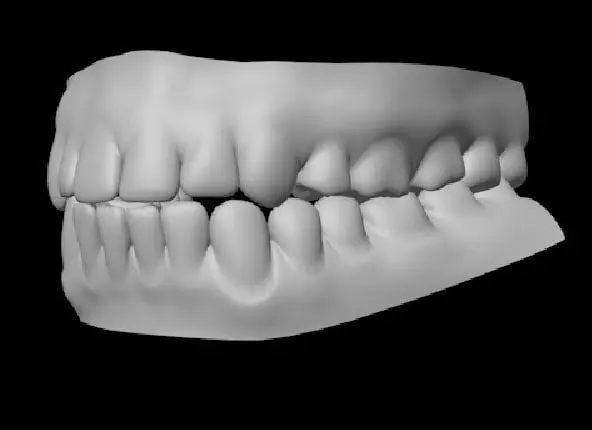 Teeth Free 3D model
