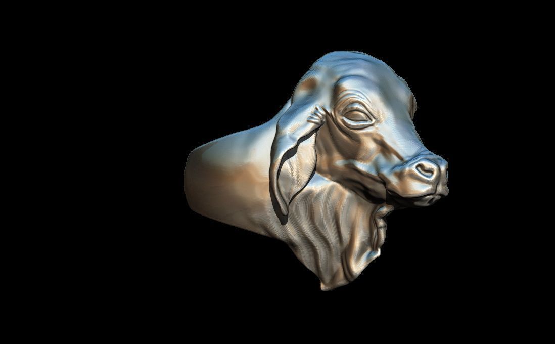 Bull ring 3D print model_2