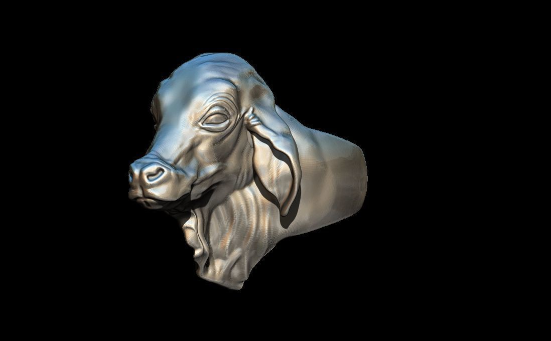 Bull ring 3D print model_1
