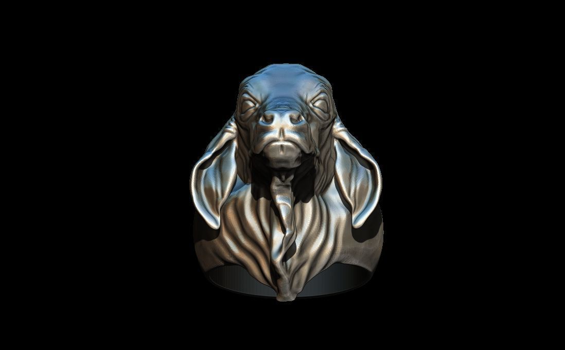 Bull ring 3D print model_3