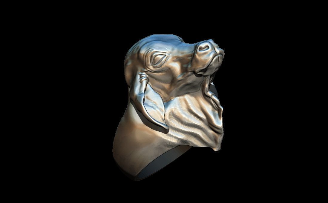 Bull ring 3D print model_5