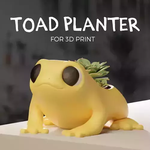 Toad - Planter - Pot 3D print model