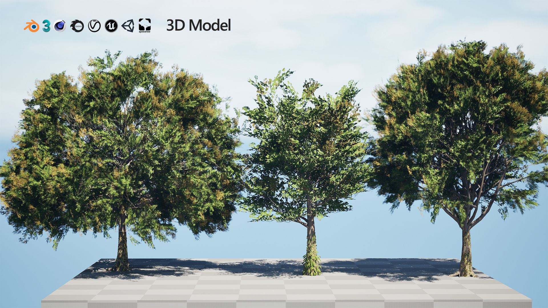 Frene Blanc Tree 3D Model Low-poly 3D model_4
