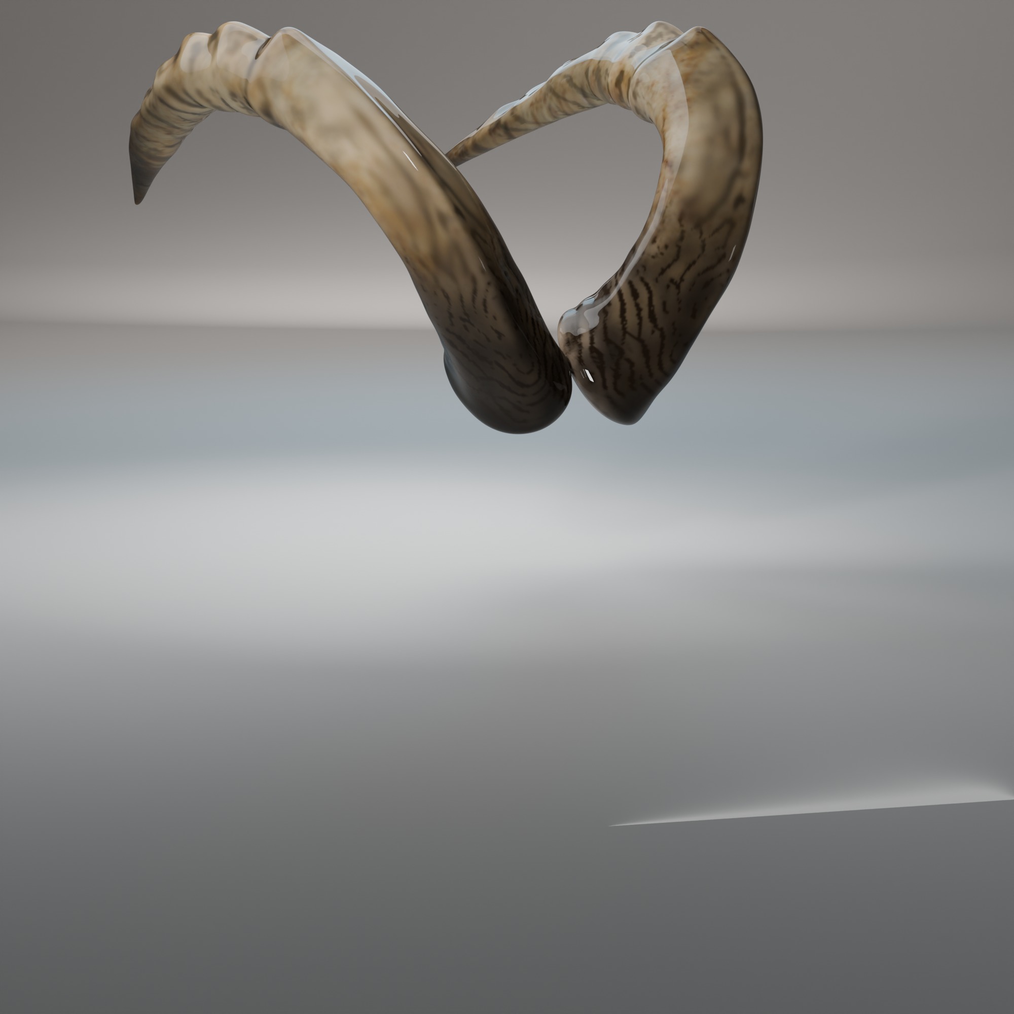 Ram Horns 3D Model High Quality Character Accessory Low-poly 3D model_5