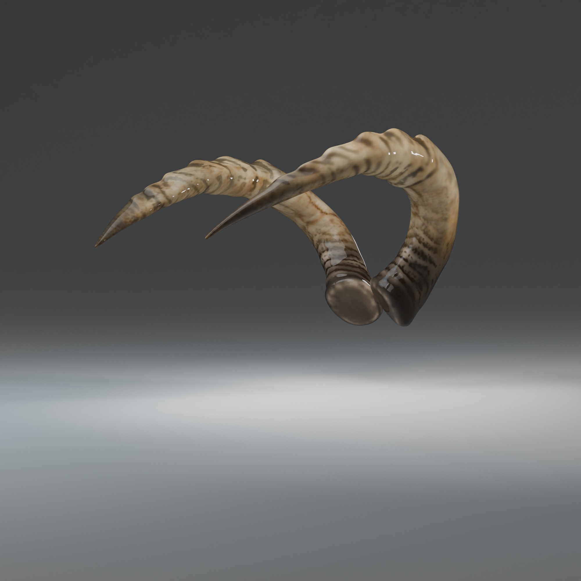 Ram Horns 3D Model High Quality Character Accessory Low-poly 3D model_4