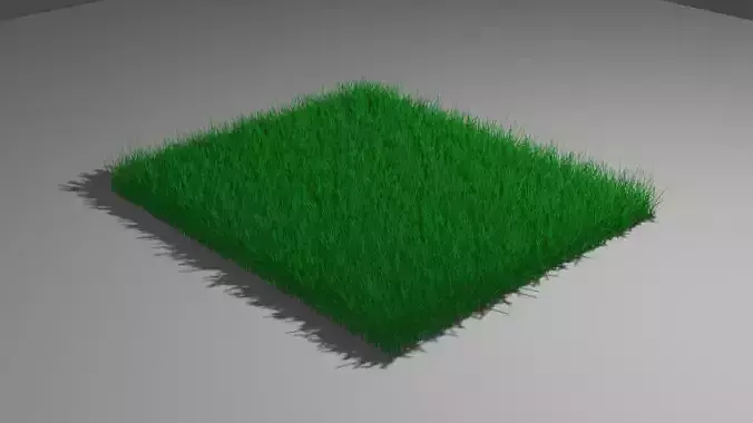 Grass