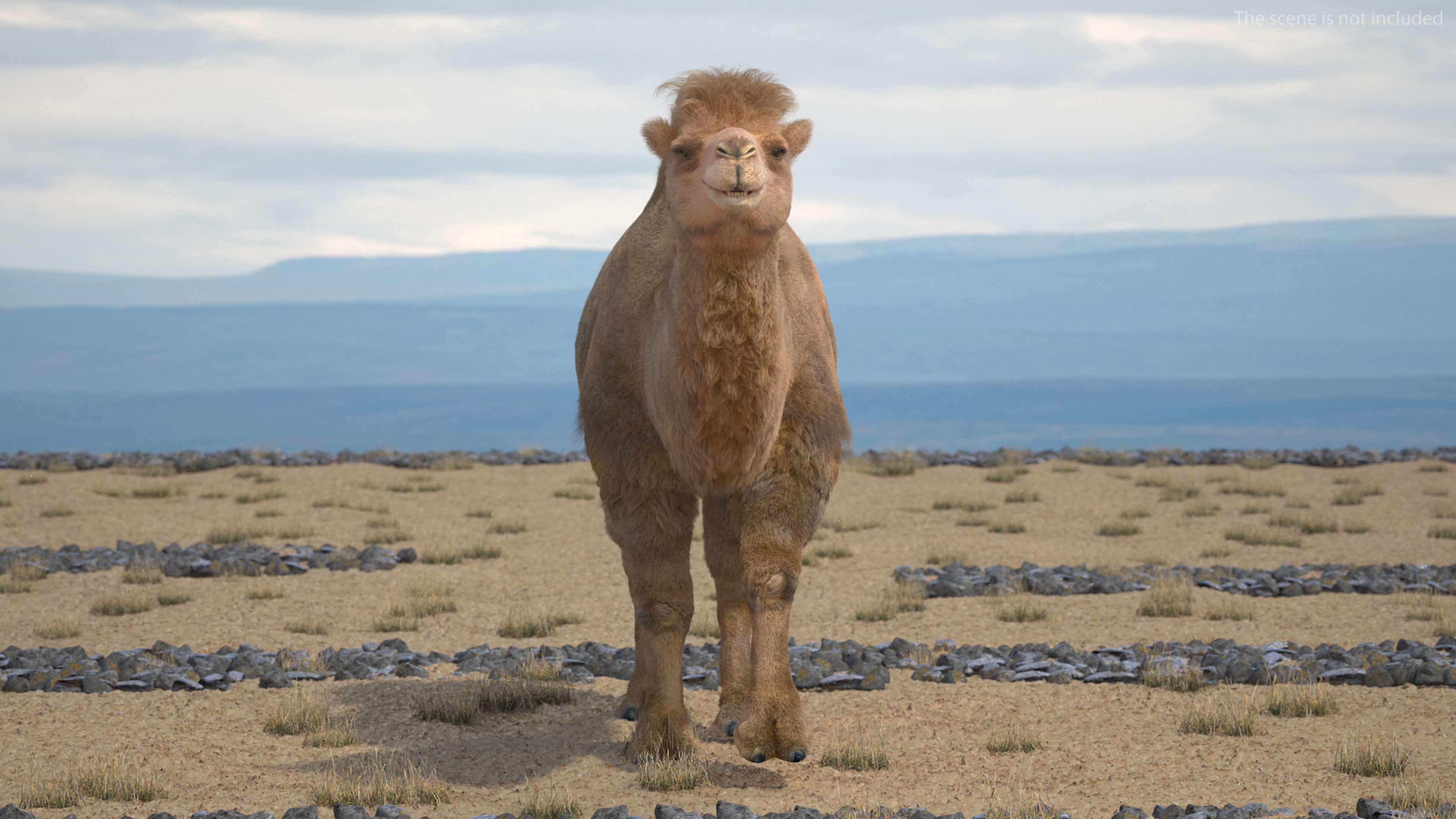 Bactrian Camel Walking Pose Fur 3D model