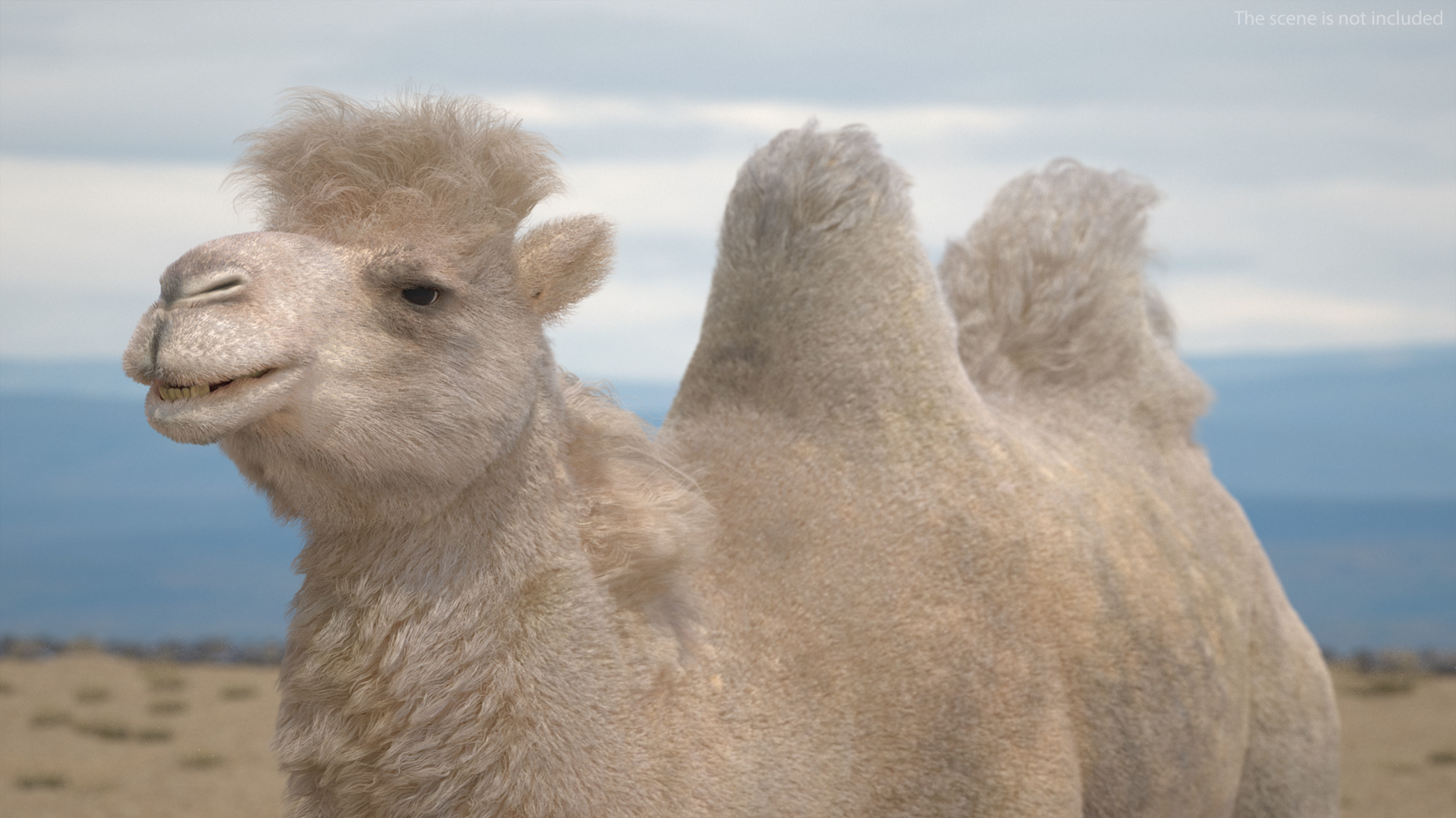 Bactrian Camel Light Colored Fur 3D model