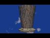 Vase or bucket in bark material looks like tree body Low-poly 3D model_1