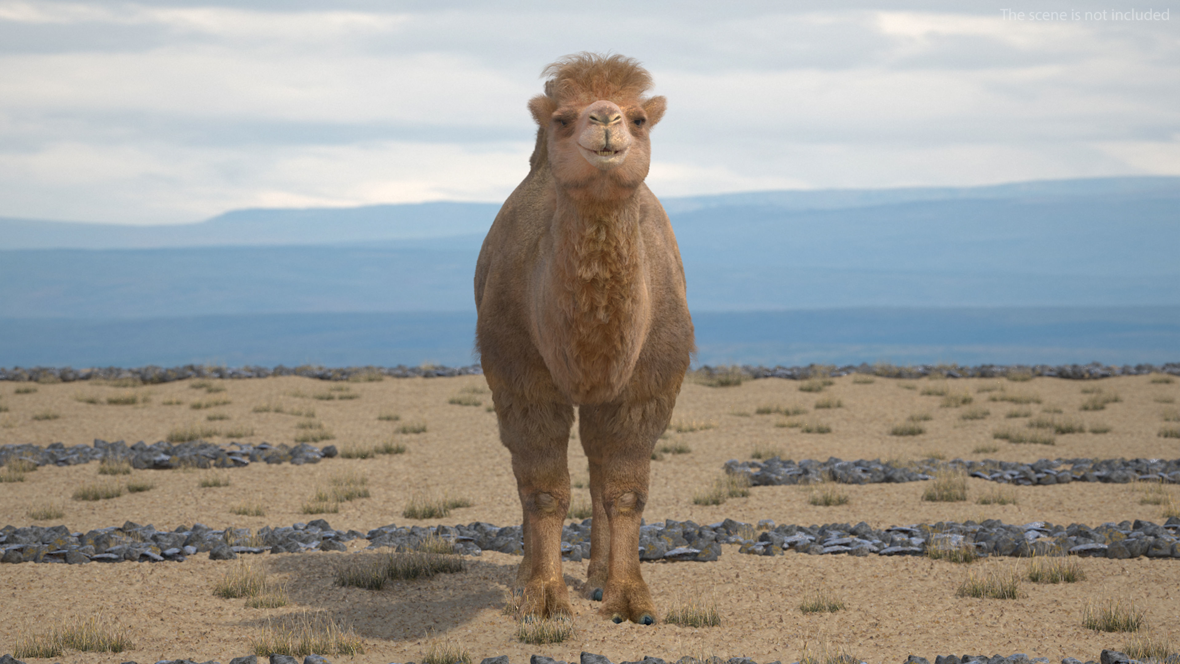 Bactrian Camel Fur Rigged 3D model