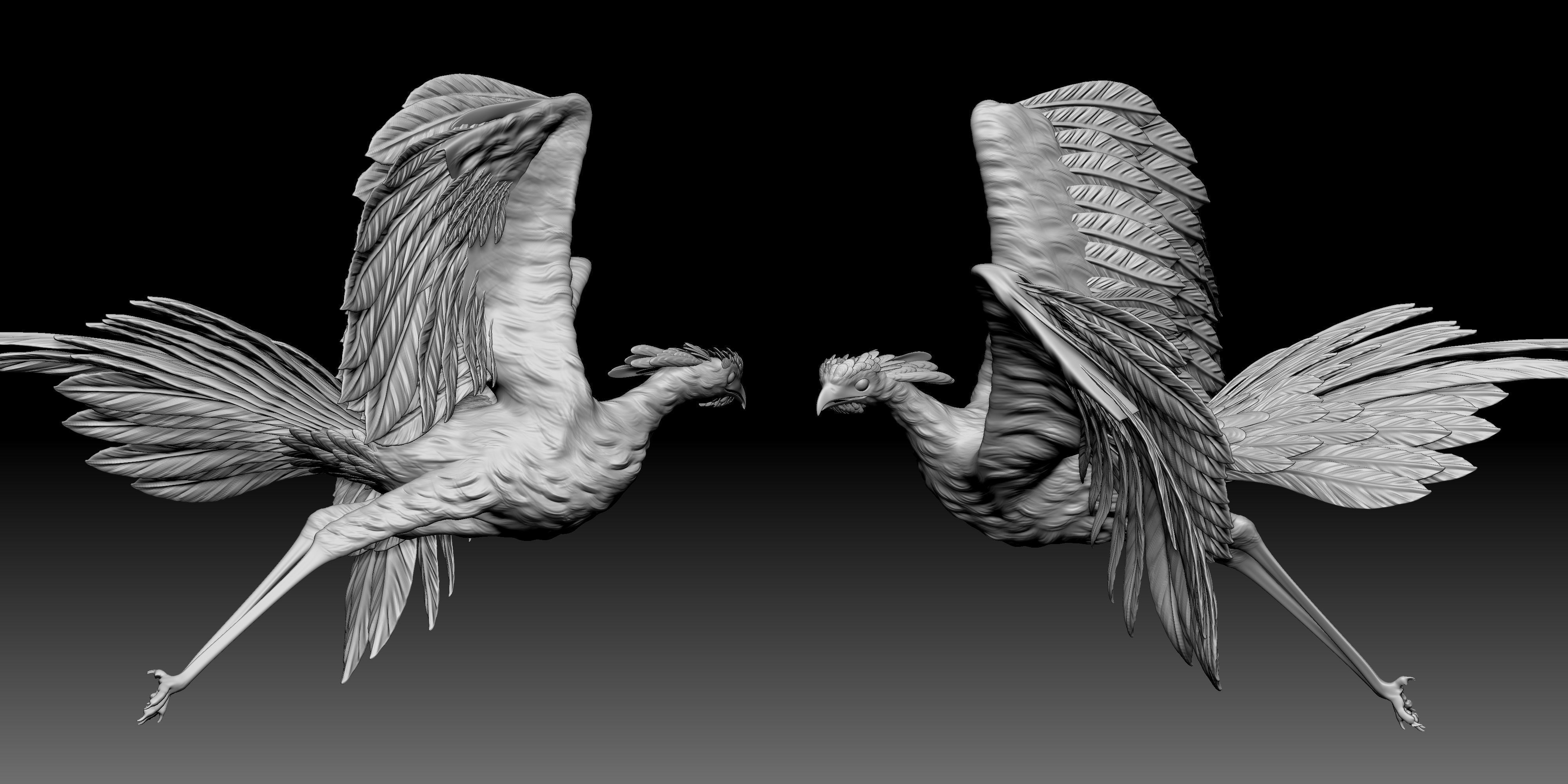 Secrectarybird 3D print model_3