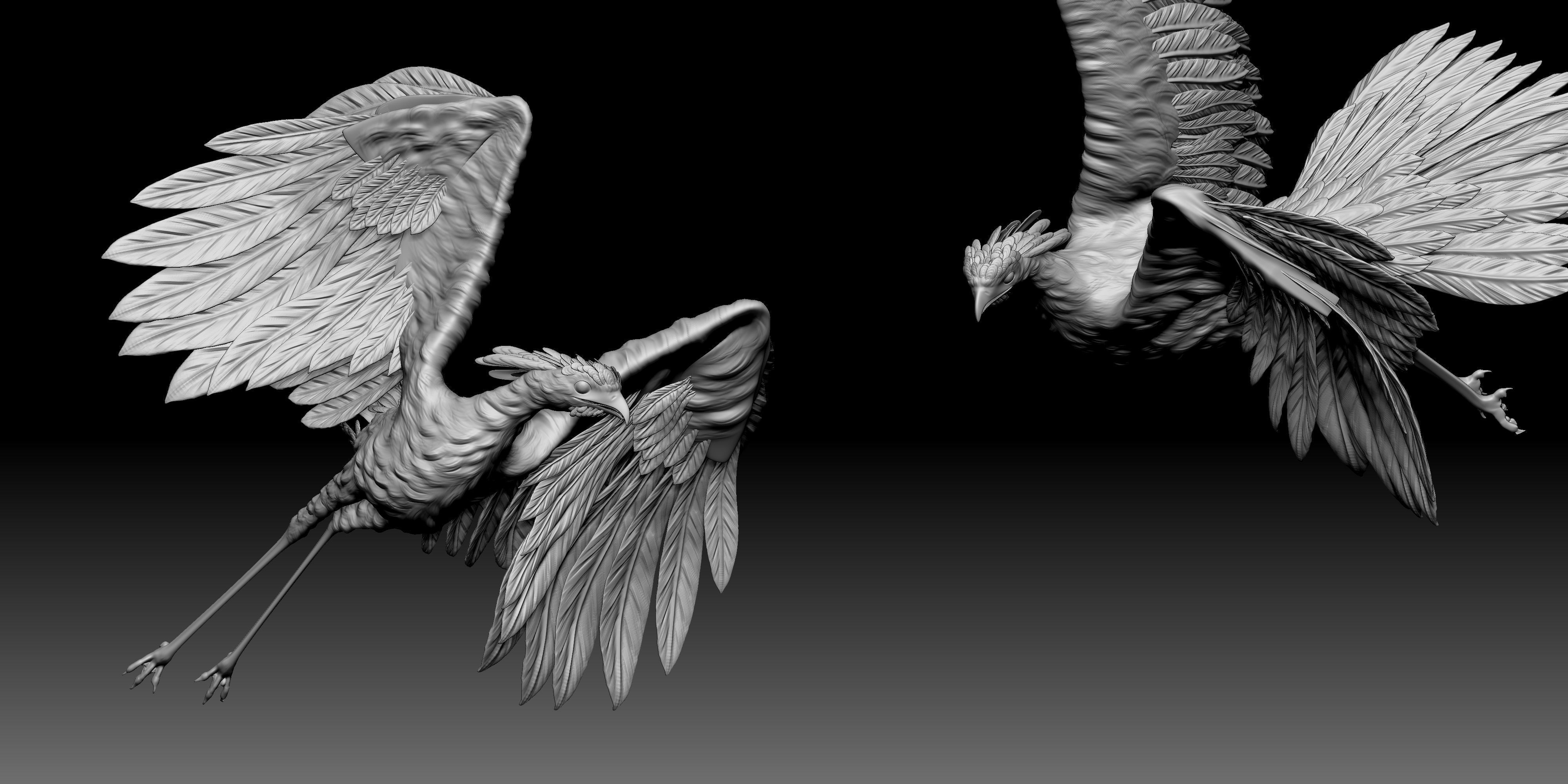 Secrectarybird 3D print model_4