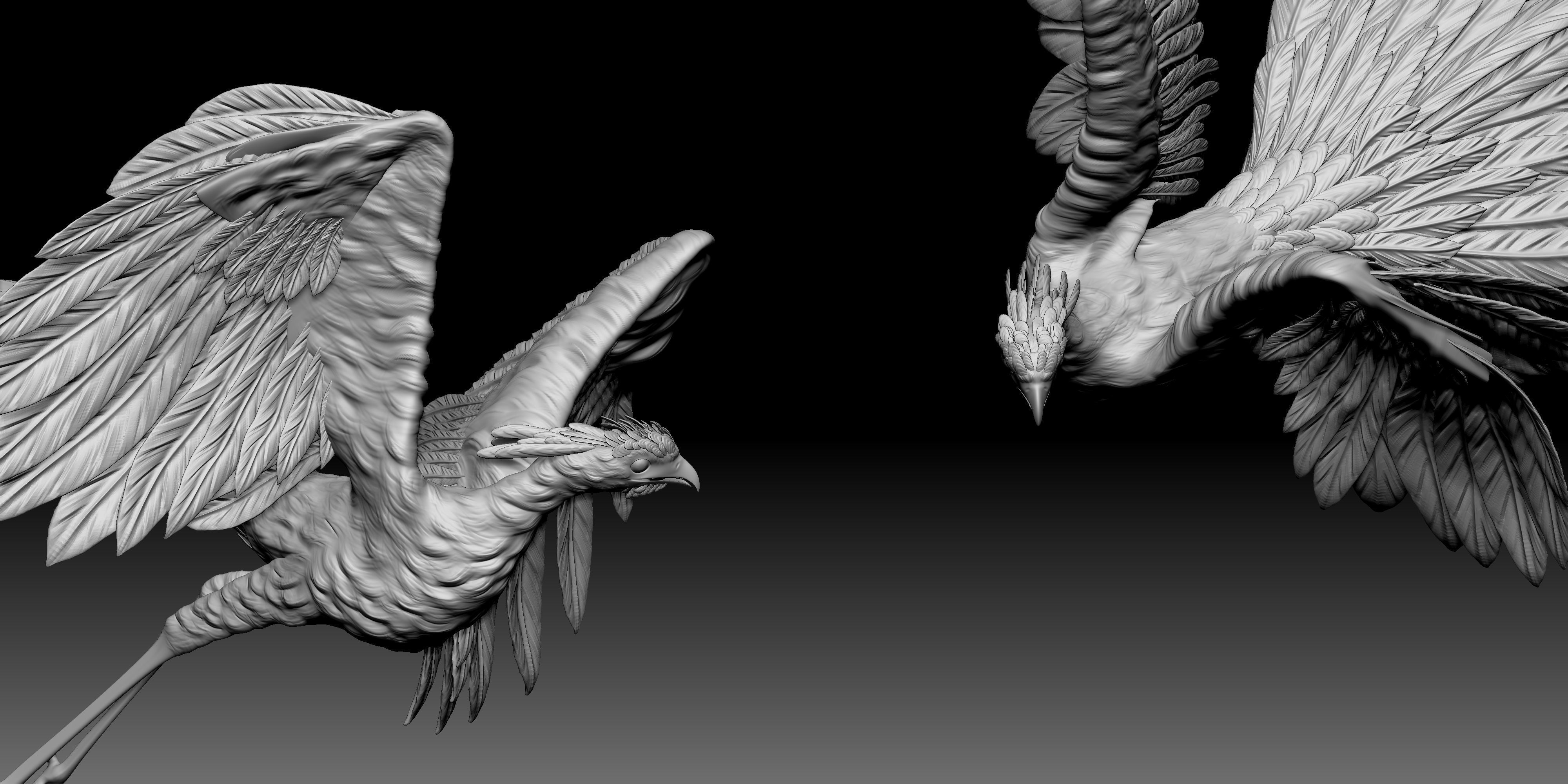 Secrectarybird 3D print model_2