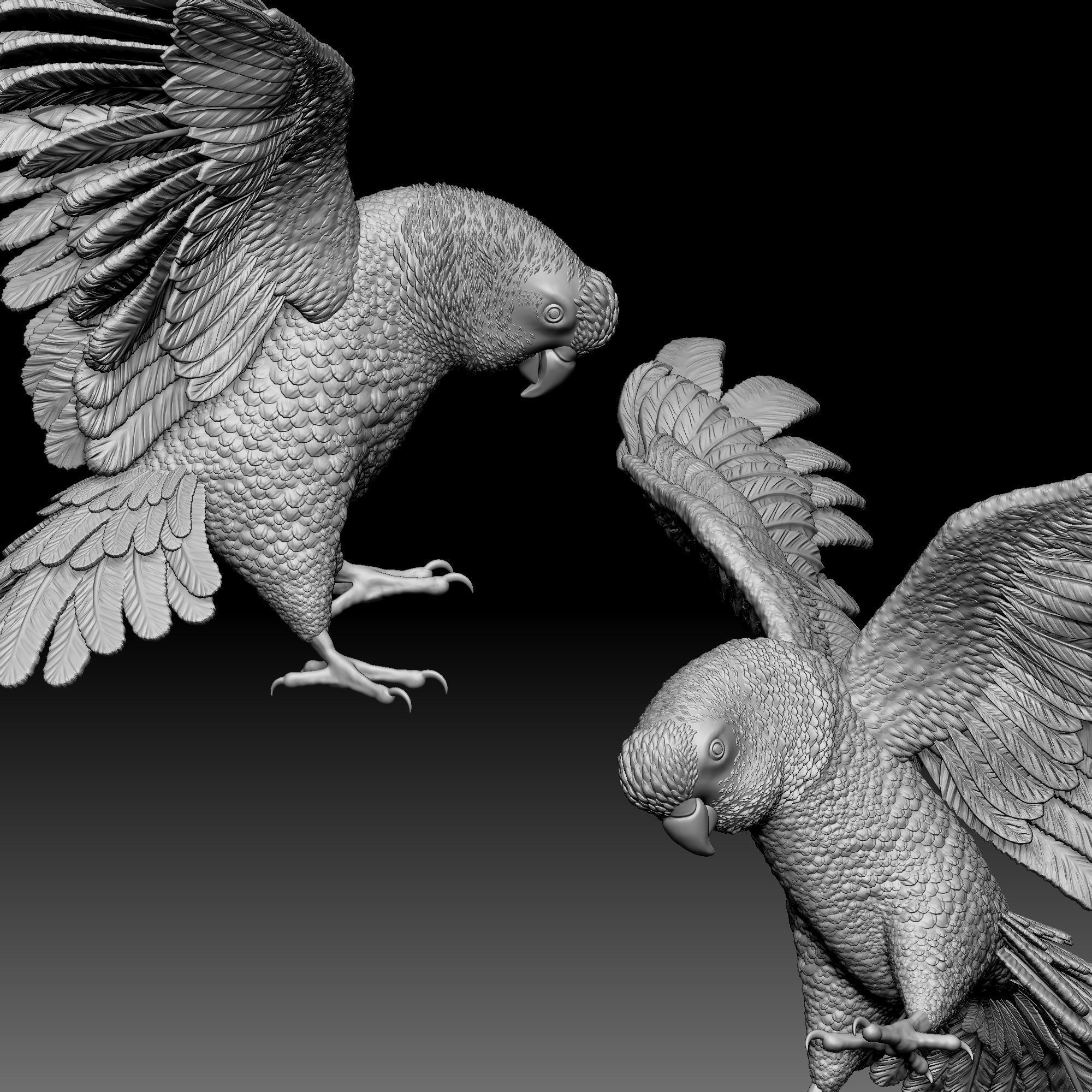 Parrot bird 010 3D print model_3