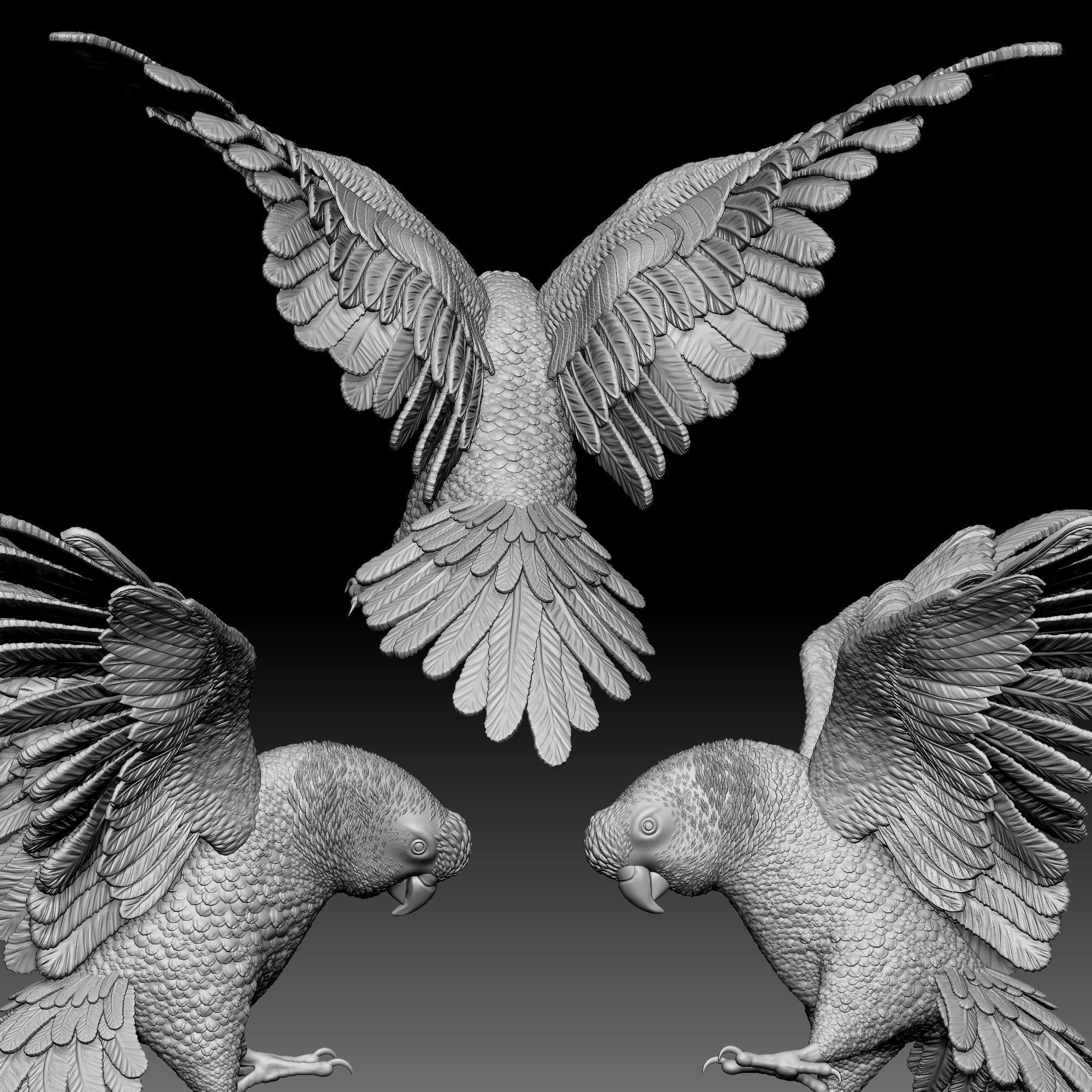 Parrot bird 010 3D print model_2