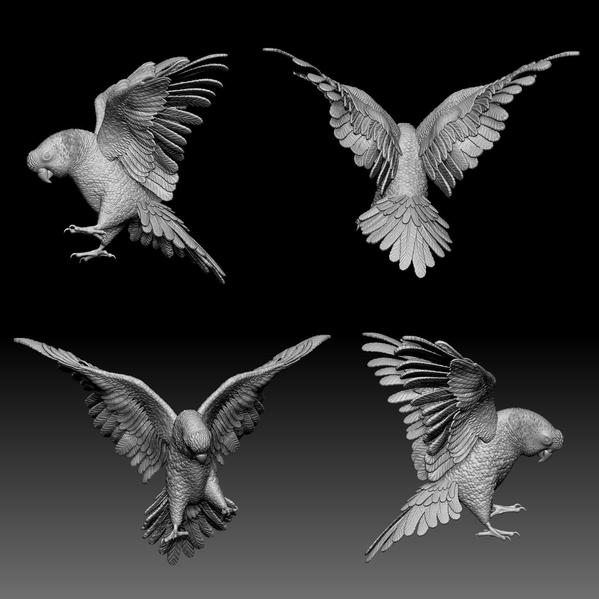 Parrot bird 010 3D print model_1