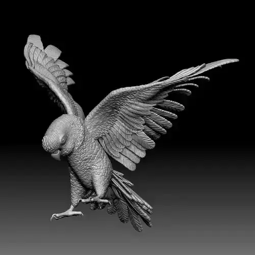 Parrot bird 010 3D print model
