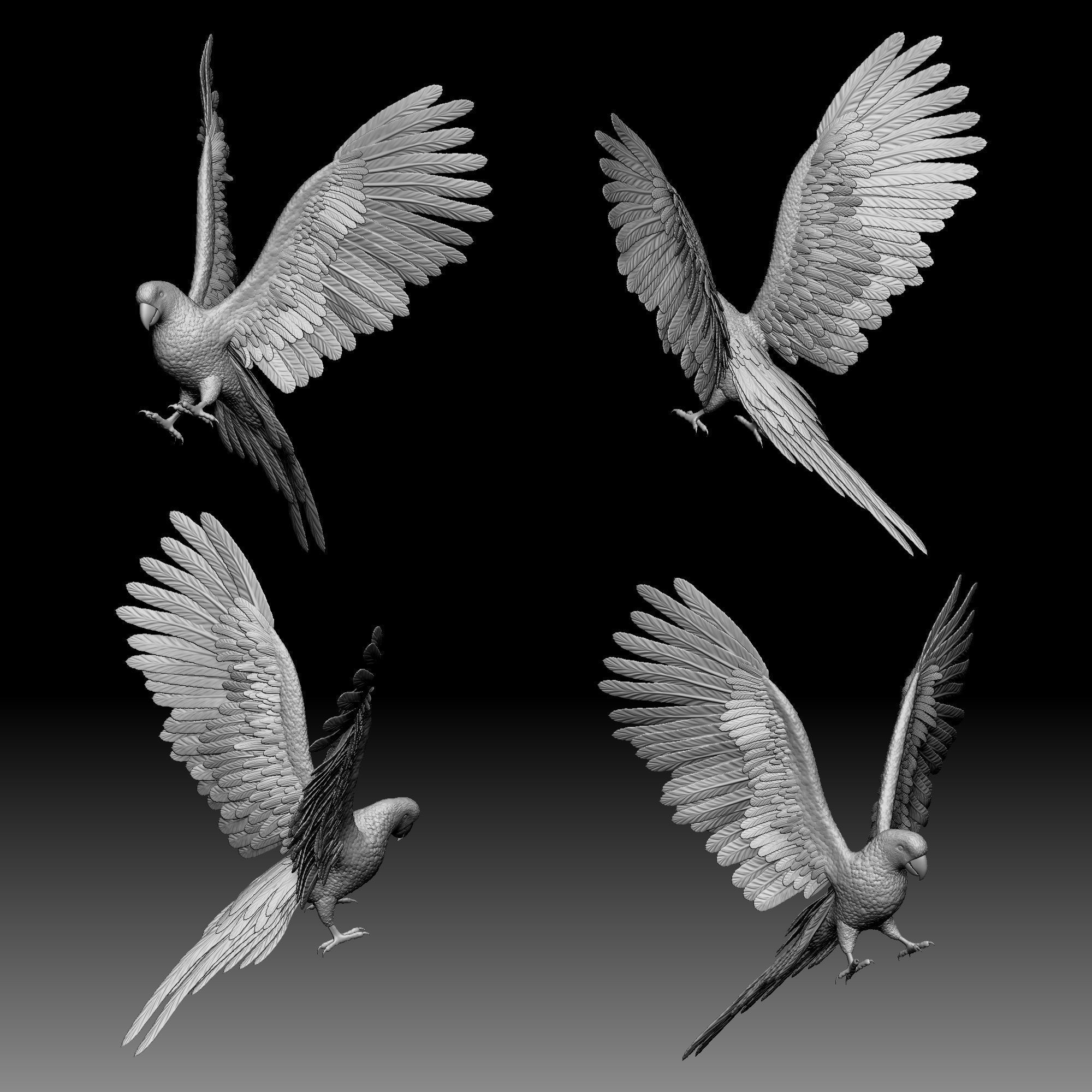 Parrot bird 020 3D print model_1